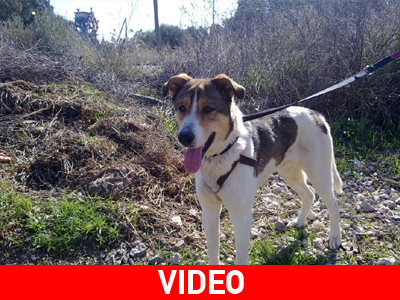 Ποιος θα πάρει τον Τεο;